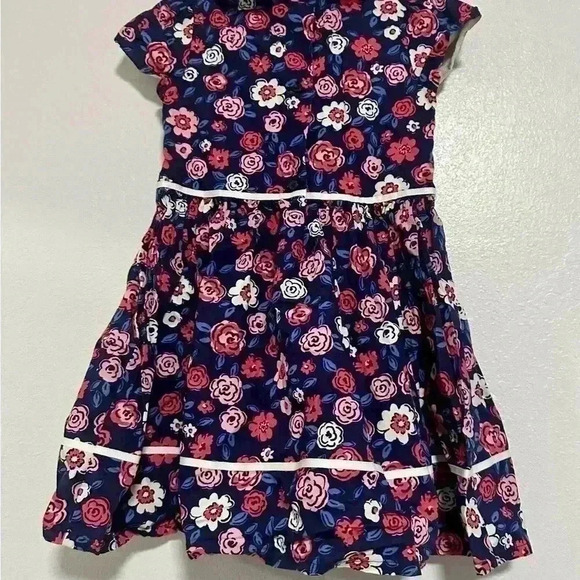 10. Gymboree Floral Dress  toddler blue pink rose size 3T - Picture 3 of 5